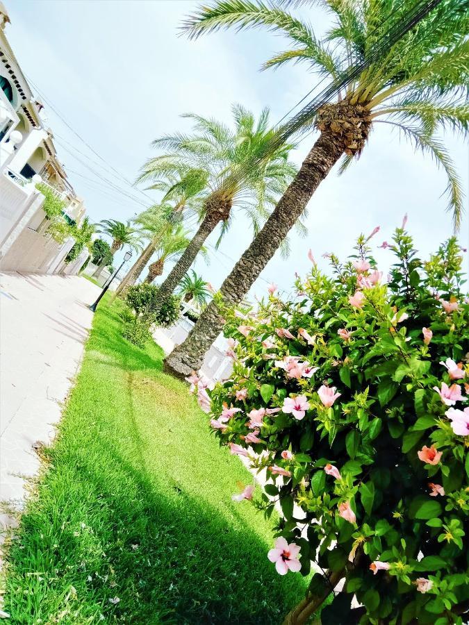グラン・アラカント Casa Ildaヴィラ エクステリア 写真